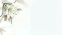 White lily flowers with green leaves on isolated background, suitable for wedding invitations, greeting cards, and design projects.