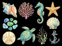 Underwater sea life collection with shells, coral, seahorse, starfish, sea turtle, seaweed, anchor and gemstones isolated on transparent background. Ready for t-shirt designs, clipart, stickers and print-on-demand products.