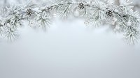 Frosted evergreen branches with pinecones and snow crystals arranged along top border, creating elegant winter holiday background with copy space.