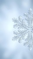Macro close-up of intricate snowflake crystal showing detailed hexagonal structure and delicate ice formations against soft blue winter background.