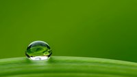 Crystal clear water droplet resting on vibrant green leaf surface with soft natural lighting and shallow depth of field for environmental concepts.