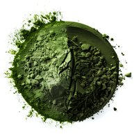 Green spirulina or matcha powder pile with scattered particles on white background, organic superfood supplement for healthy nutrition and wellness.