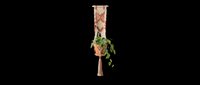 Macramé plant hanger with trailing pothos vine isolated on transparent background. Ready for design use on t-shirts, clipart, stickers, print-on-demand products, and sublimation projects.