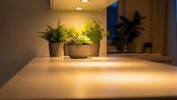 Modern kitchen counter with potted herbs under warm LED lighting creating cozy home cooking atmosphere for culinary and interior design projects.