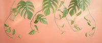 Hanging green monstera and pothos vines with trailing leaves against warm peachy background, isolated botanical design element for web, print and decorative projects.