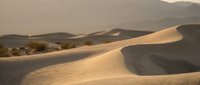 Golden sand dunes with smooth curves and ridges creating dramatic shadows in warm desert light with mountain backdrop for travel and nature themes.