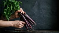 Fresh purple carrots with green leafy tops held in hands against dark slate background, suitable for organic food, farm produce, healthy eating, and culinary content.