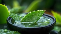 Fresh green aloe vera leaf with water drops in black ceramic bowl against dark background, macro shot showing natural moisturizing properties for skincare.