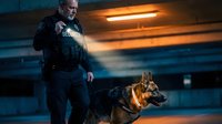 Male Caucasian security guard with German Shepherd dog patrolling underground garage at night. Professional law enforcement officer in uniform with K9 unit.