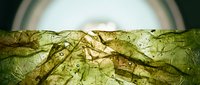 Ancient cave paintings on weathered stone walls depicting primitive art and historical petroglyphs in earthy tones for archaeological and educational content.