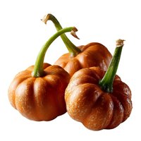 Fresh orange mini pumpkins with green stems isolated on white background, seasonal autumn harvest produce for decoration and cooking.