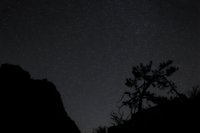 Starry night sky with silhouetted mountain cliff and bare tree branches creating dramatic landscape composition for astronomy and nature photography.