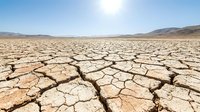 Cracked earth and parched ground stretching across arid landscape under bright sunlight, depicting severe drought, climate change, water scarcity, and environmental crisis conditions.