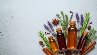 Aromatic essential oil bottles with fresh lavender, rosemary herbs and cinnamon sticks on textured white background for natural wellness and spa treatments.