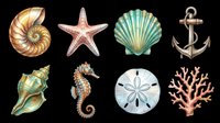 Nautical sea creatures and ocean elements collection isolated on transparent background, ready for t-shirt design, clipart, stickers, print-on-demand products and sublimation projects.