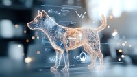 Digital hologram of dog with glowing network connections and data analytics interface floating in modern tech environment against blurred background with bokeh lights.