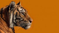 Majestic tiger profile against vibrant orange background, showcasing detailed fur texture and distinctive stripes in striking side view portrait.