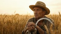 Elderly farmer in straw hat standing in golden wheat field during sunset, agricultural worker contemplating harvest season in rural countryside landscape.