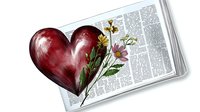Red heart with delicate wildflowers resting on open book pages, romantic vintage style illustration with soft shadows and floral elements, artistic composition.