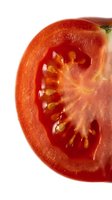 Sliced tomato cross-section showing fresh red flesh, seeds, and interior chambers isolated on white background. Use for food, cooking, nutrition, and culinary design projects.