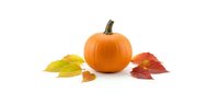 Orange pumpkin with colorful autumn leaves on white background. Seasonal harvest decoration for fall holidays, thanksgiving and halloween designs.