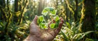 Hand holding green recycling symbol in lush forest with sunlight streaming through trees representing environmental conservation and sustainability.