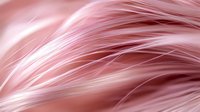 Flowing pink hair strands with silky texture and natural movement creating elegant waves and curves for beauty and fashion design projects.