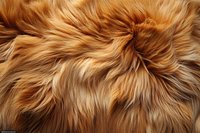 Luxurious golden brown fur texture with long flowing strands creating natural swirls and patterns, close-up macro photography showing fine detail and soft appearance.