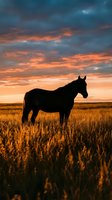 Horse silhouette standing in golden wheat field during dramatic sunset with orange and blue cloudy sky creating peaceful rural landscape scene.