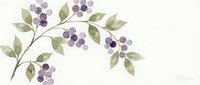 Watercolor blueberry branch with purple berries and green leaves on white background. Botanical illustration for kitchen decor and culinary designs.