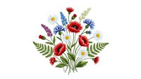 Wildflower bouquet with red poppies, daisies, cornflowers and ferns isolated on white background for botanical design and nature decoration projects.