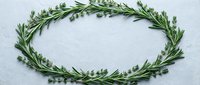 Fresh rosemary herb wreath arranged in oval shape on white marble background. Natural organic cooking ingredient frame for culinary design projects.