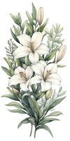 Elegant white lily bouquet with green foliage in soft watercolor style on isolated background, featuring delicate botanical details and muted sage green leaves.