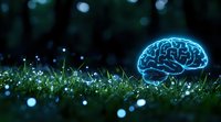 Glowing blue neon brain on grass with water drops at night, representing artificial intelligence, mindfulness and natural intelligence concept.