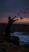 Silhouette of person with outstretched arms watching seagulls fly over rocky coastline at dramatic sunset with purple and orange sky colors.