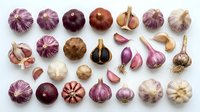 Collection of diverse garlic and onion varieties displaying purple, white and brown bulbs with natural textures for culinary and agricultural concepts.