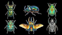 Six colorful beetles and insects isolated on transparent background, ready for stickers, t-shirt design, print on demand, sublimation, and clipart use.