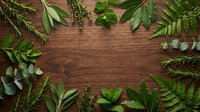 Fresh green herbs and leaves arranged as natural border frame on rustic wooden background with copy space for organic cooking and botanical design projects.