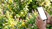 Senior man with dark skin holding smartphone with blank white screen outdoors among green foliage, displaying mobile device for app mockup or technology communication.