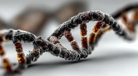 Detailed DNA double helix structure with amber and gray molecules on blurred background, representing genetic science and biotechnology research.