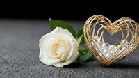 White rose with golden wire heart decoration on dark textured surface for romantic occasions, wedding invitations, Valentine's Day cards and love concepts.