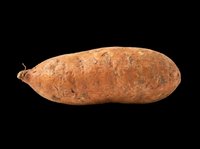 Sweet potato isolated on transparent background, cut out and ready for stickers, clipart, print on demand, sublimation, and T-shirt design use.
