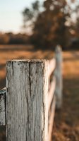 Weathered wooden fence post with natural grain texture and cracks in rural countryside setting with warm golden hour lighting and blurred background.