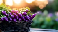 Fresh purple radishes with green tops in dark wicker basket against blurred garden background with warm sunset bokeh lights, farm to table organic produce.