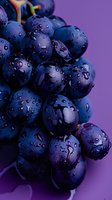 Fresh dark purple grapes with water droplets on purple background, macro photography showing detailed texture of wet grape skin surface in natural light.