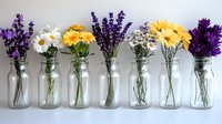 Fresh spring flowers arranged in glass mason jars on white background, including lavender, daisies, chrysanthemums and purple statice blooms in rustic farmhouse style.