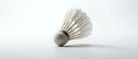 Badminton shuttlecock with white feathers isolated on white background, ready for sports design, athletic graphics, and recreation projects.