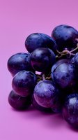 Fresh dark purple grapes macro shot on vibrant pink background. Juicy ripe fruit with water drops showing natural texture and shine. For food and wine concepts.