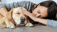 Young woman with long dark hair in gray sweater sleeping next to golden retriever dog on floor, peaceful relaxing moment showing bond between human and pet companion.