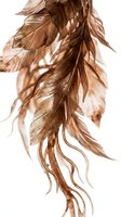 Elegant copper-toned feathers floating gracefully against white background, showcasing natural texture and flowing movement for luxury design projects.